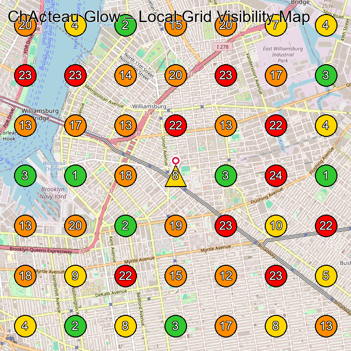 ChA¢teau Glow Facial Spa GeoGrid ranking map for Brooklyn NY